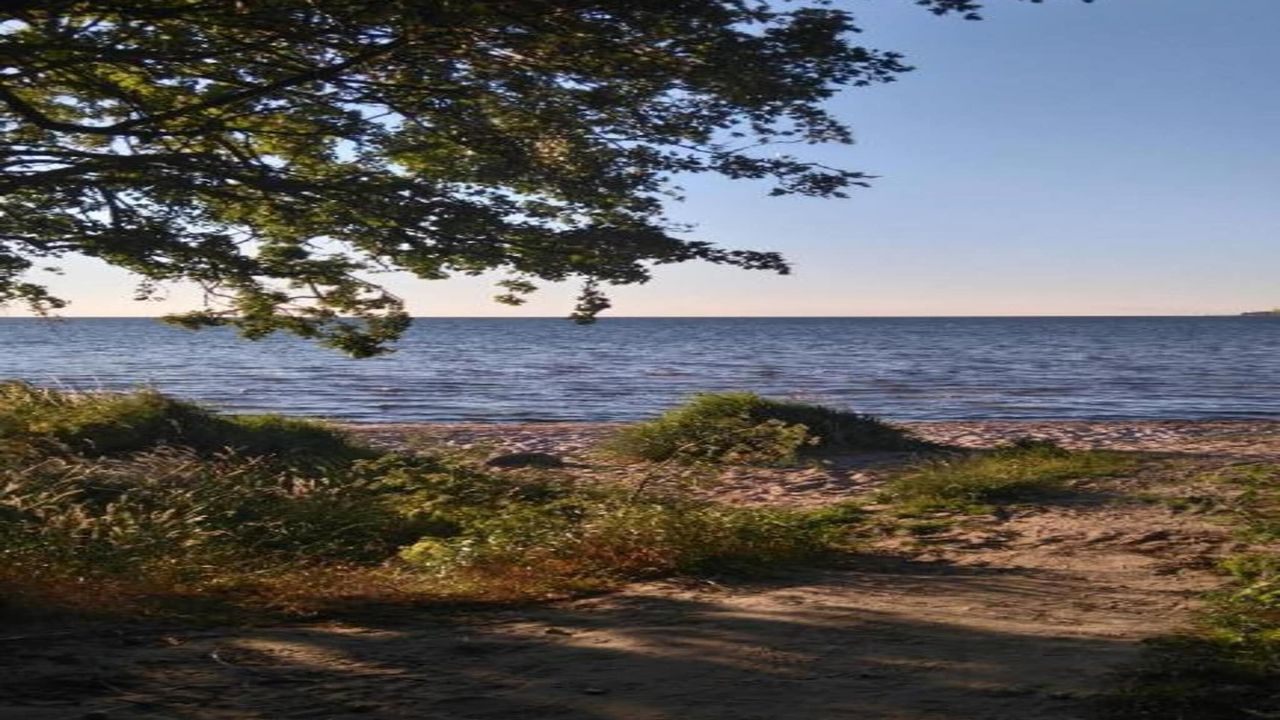 AreaSummer5KM AreaSummer5KM